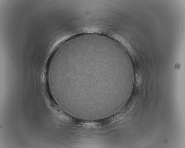 X0000097620583200803071512