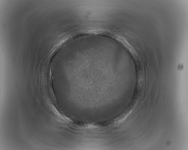 X0000097620585200803071512
