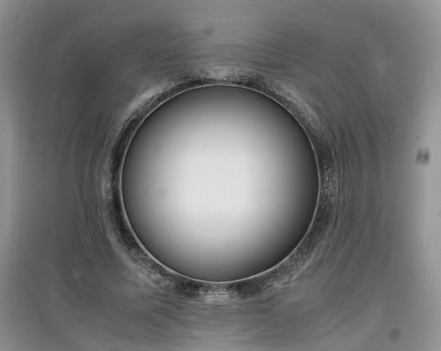 X0000097620587200803071512