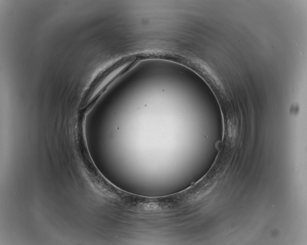 X0000097620588200803071512