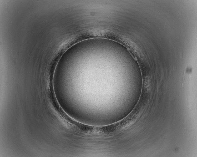 X0000097620589200803071512