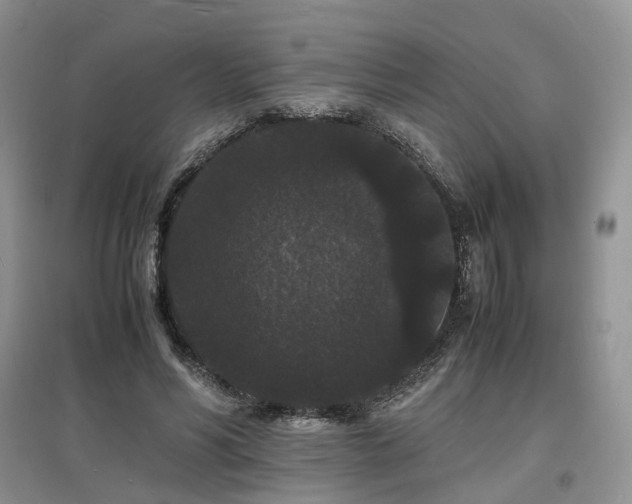 X0000097620590200803071512