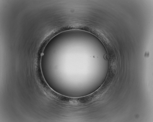 X0000097620591200803071512