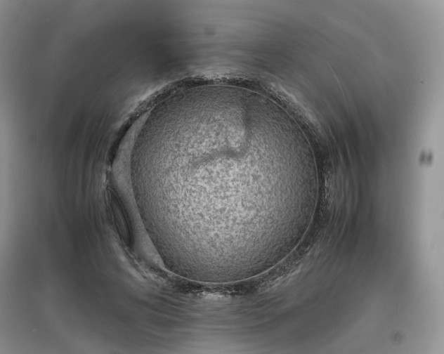 X0000097620592200803071512