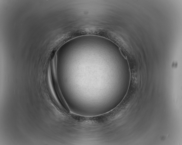 X0000097620593200803071512
