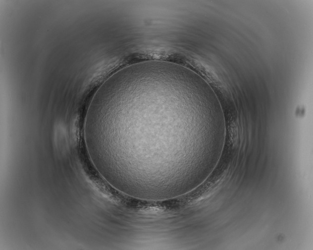 X0000097620594200803071512