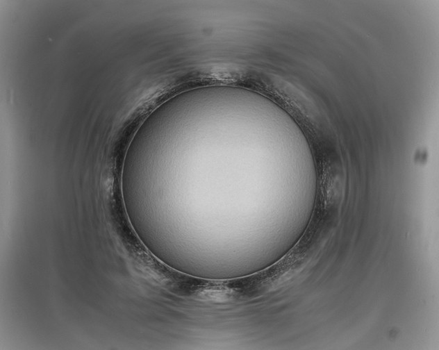 X0000097620595200803071512