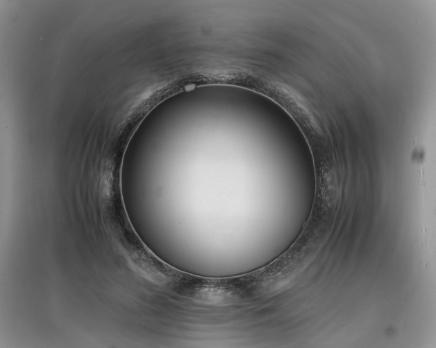 X0000097620596200803071512