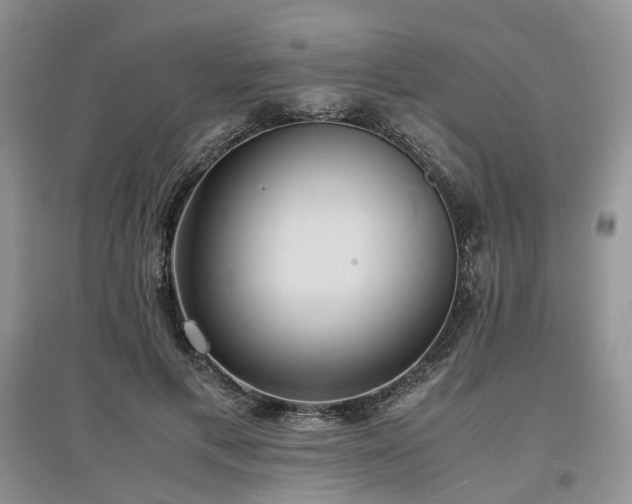 X0000097620597200803071512
