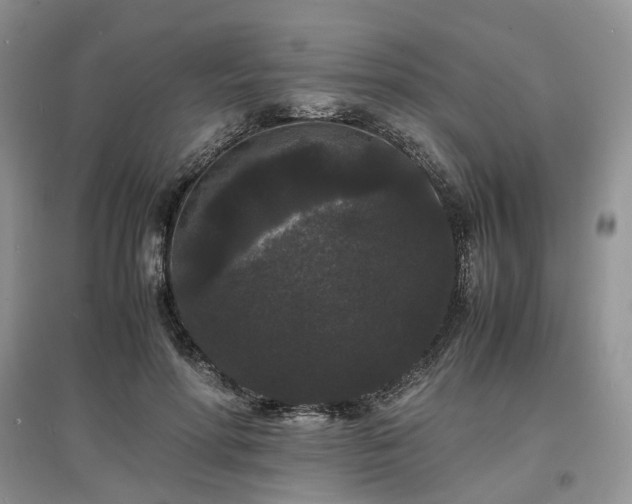X0000097620598200803071512