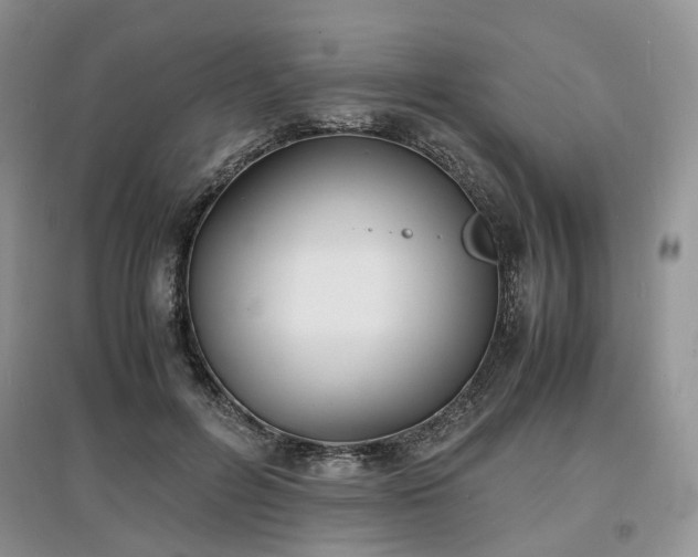 X0000097620600200803071512
