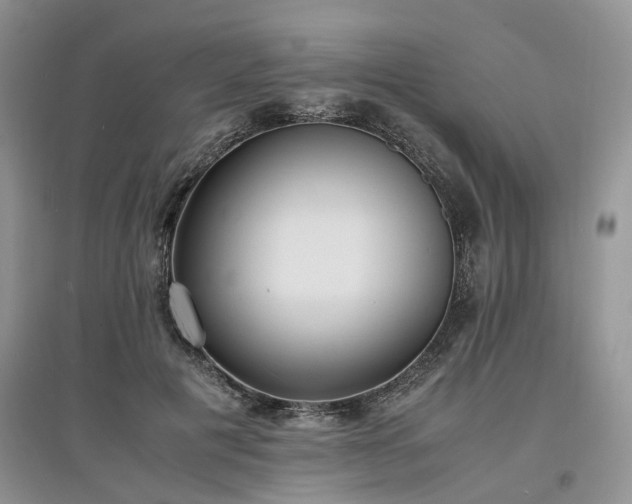 X0000097620601200803071512