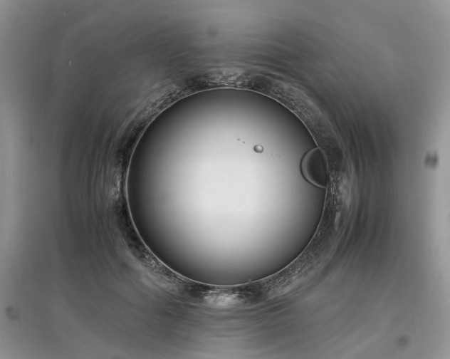 X0000097620602200803071512