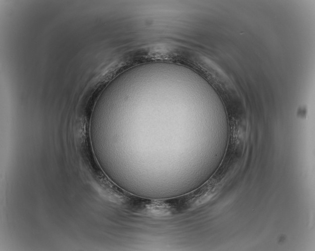 X0000097620603200803071512