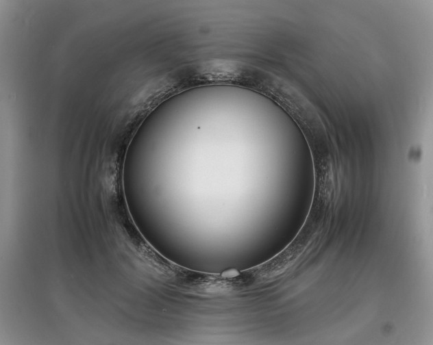X0000097620604200803071512