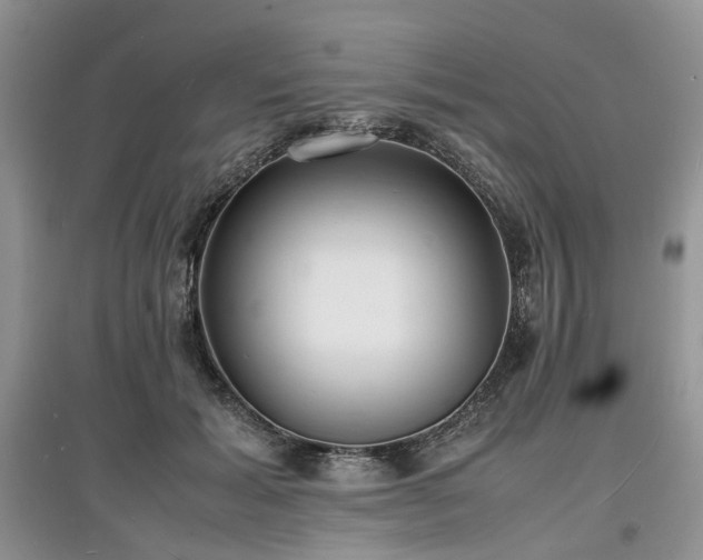 X0000097620605200803071511