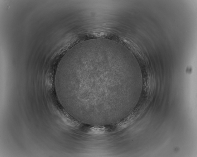X0000097620606200803071511
