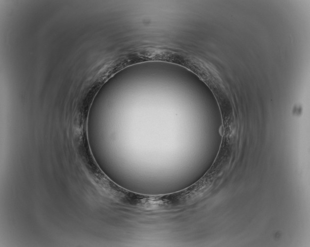 X0000097620607200803071511