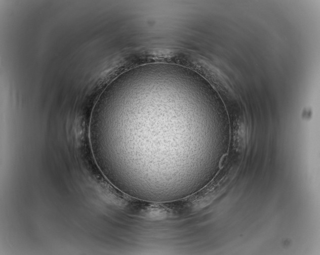 X0000097620608200803071511