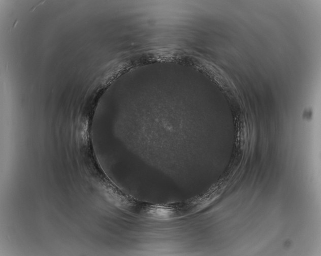 X0000097620610200803071511