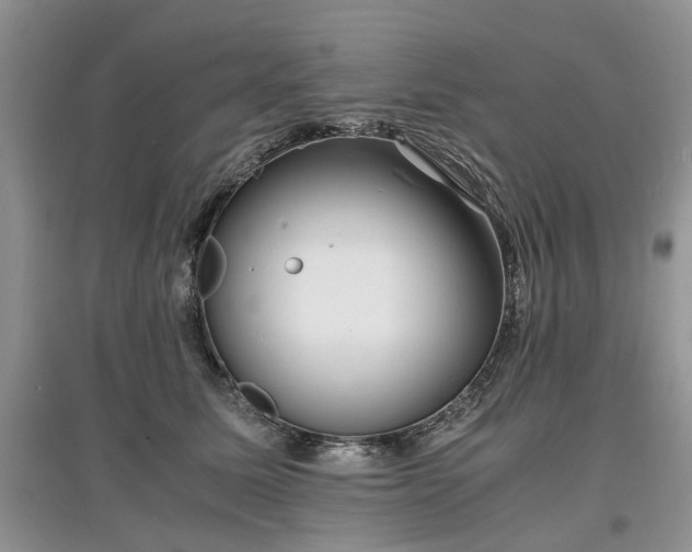 X0000097620611200803071511