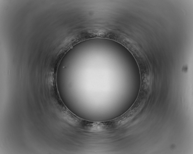 X0000097620612200803071511