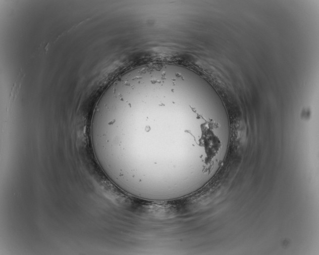 X0000097620615200803071511