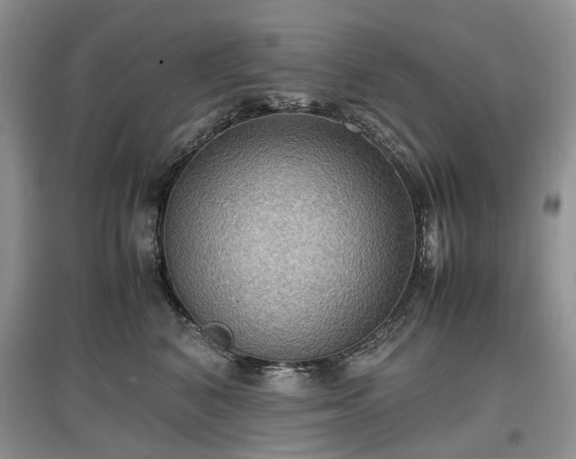 X0000097620616200803071511