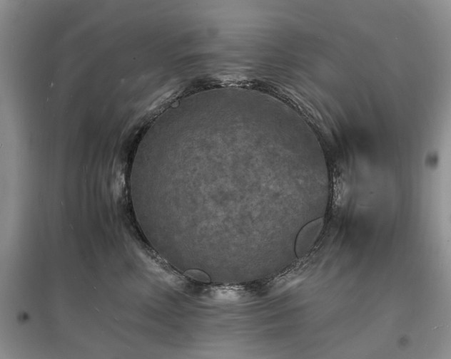 X0000097620618200803071511