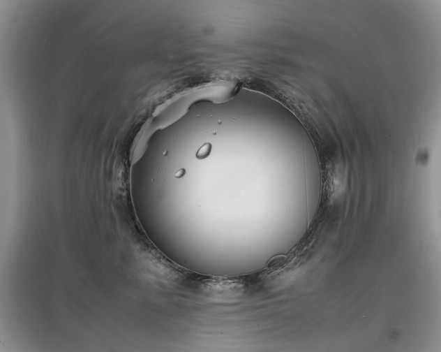 X0000097620619200803071511