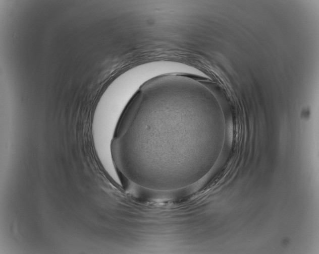 X0000097620621200803071511