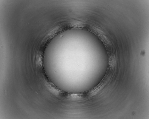 X0000097620622200803071511