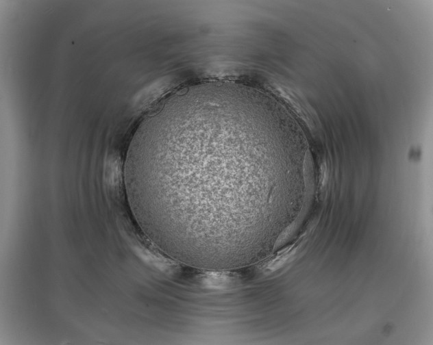 X0000097620623200803071511