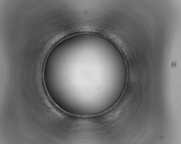 X0000097620625200803071511