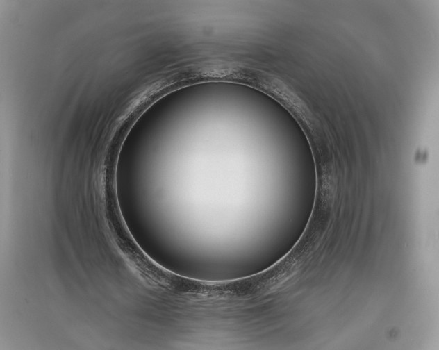 X0000097620626200803071511