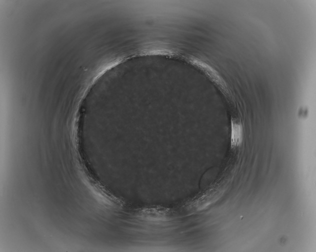 X0000097620627200803071511