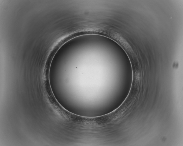 X0000097620628200803071511