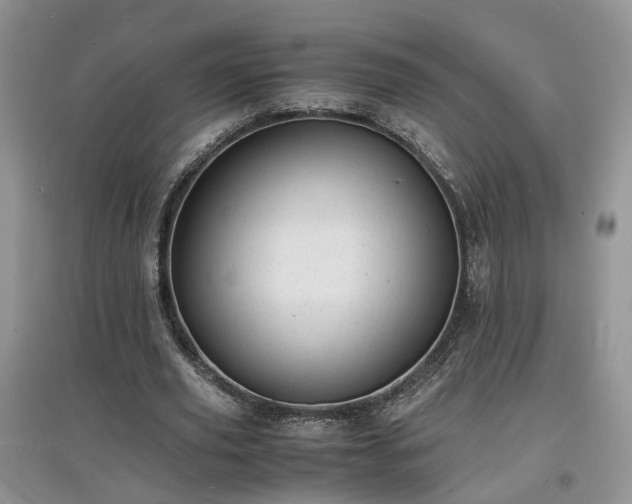 X0000097620629200803071511