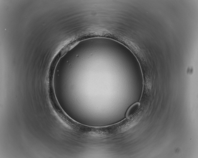 X0000097620630200803071511