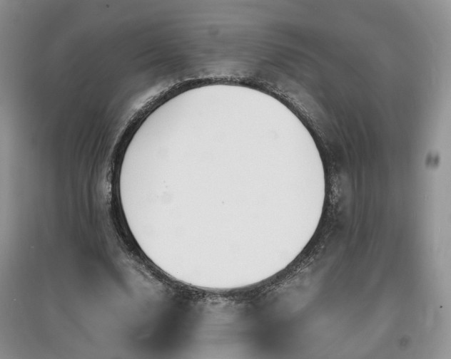 X0000097620632200803071511