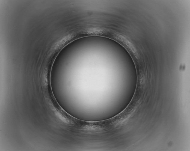 X0000097620633200803071511
