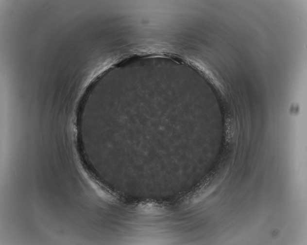 X0000097620634200803071511