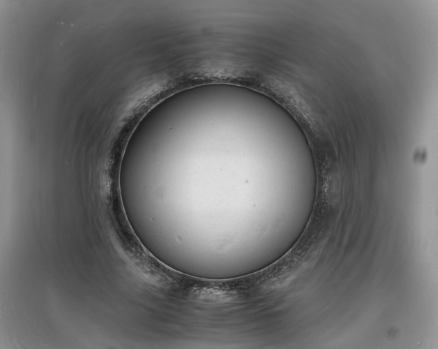 X0000097620635200803071511