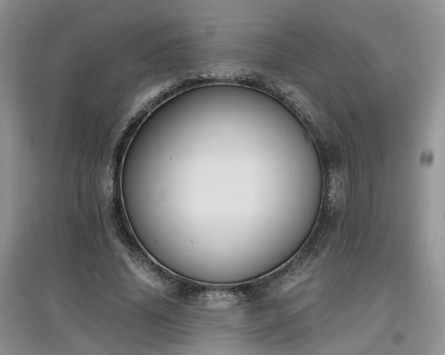 X0000097620636200803071511