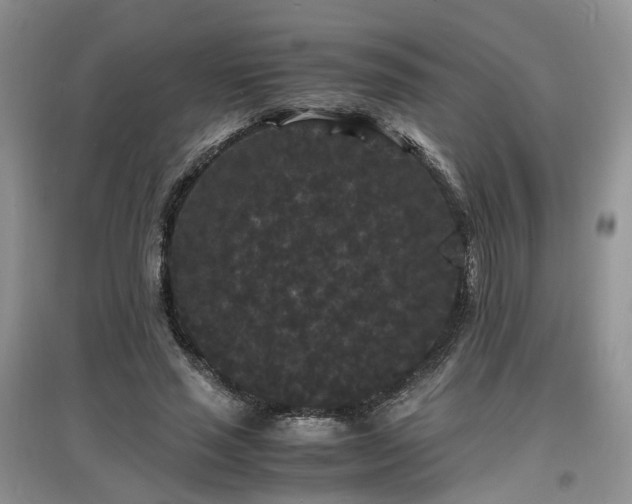 X0000097620637200803071511