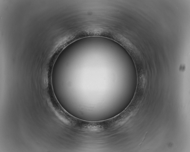 X0000097620638200803071511