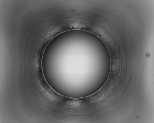 X0000097620639200803071511