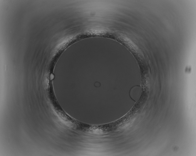 X0000097620640200803071511