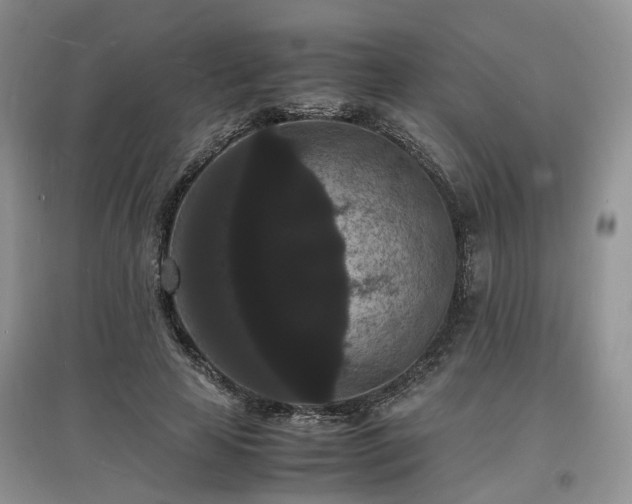 X0000097620641200803071511
