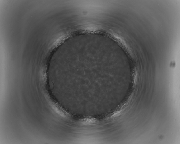 X0000097620642200803071511